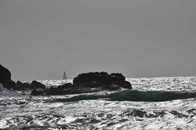 DSC_9160.JPG