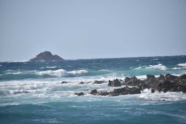 DSC_9167.JPG