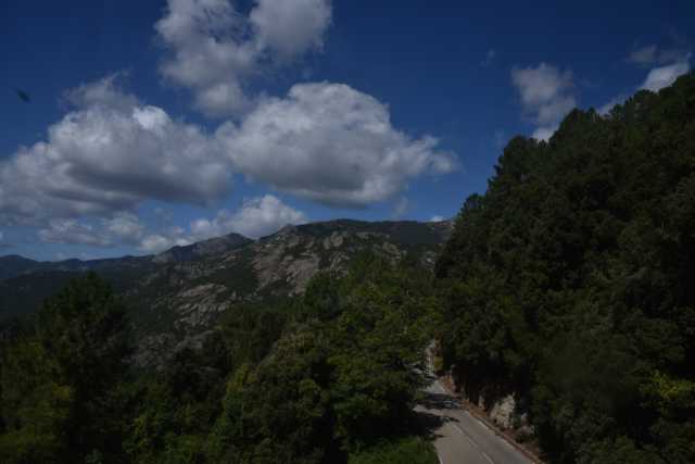 DSC_9229.JPG