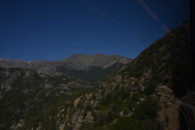 DSC_9247.JPG