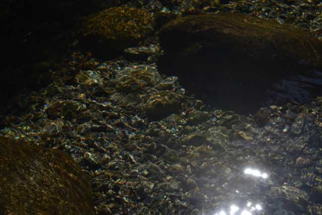 DSC_9283.JPG