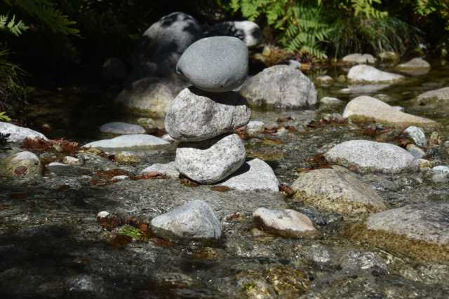 DSC_9291.JPG