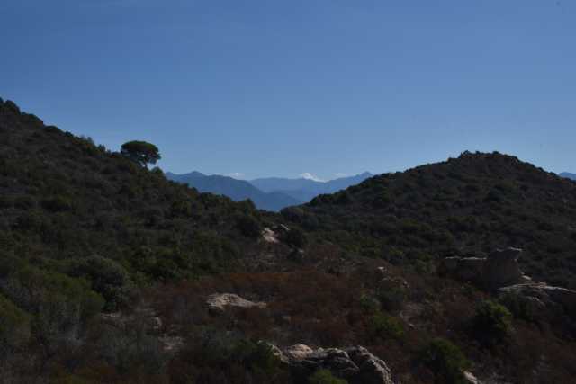 DSC_9345.JPG