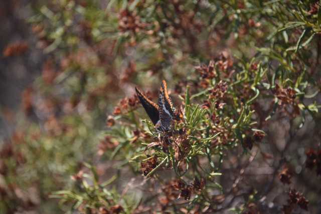 DSC_9357.JPG