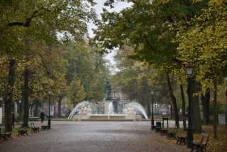 DSC_9555.JPG