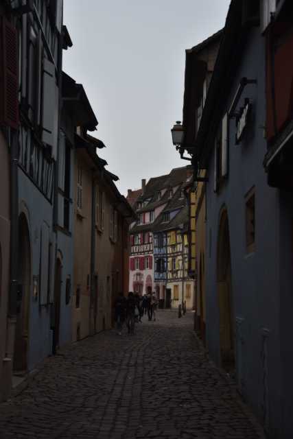 DSC_9535.JPG