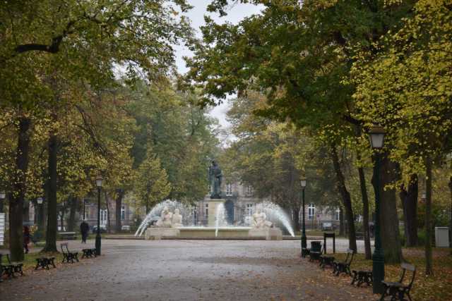 DSC_9555.JPG