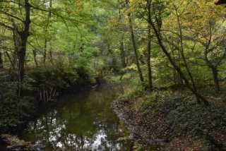 DSC_9484.JPG