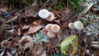IMG_20191013_144707.jpg
