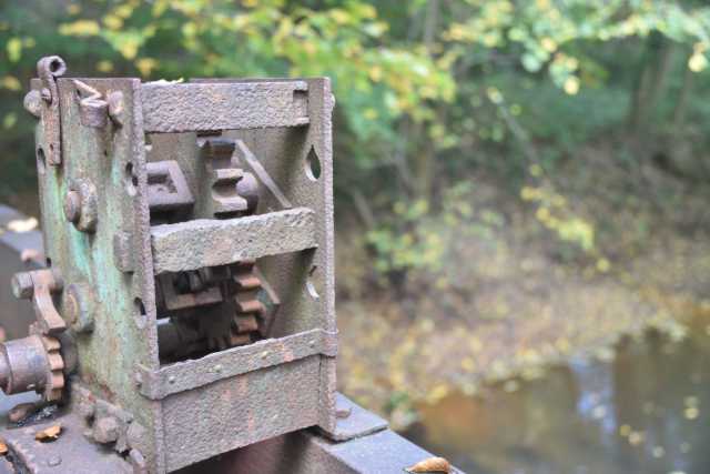 DSC_9485.JPG