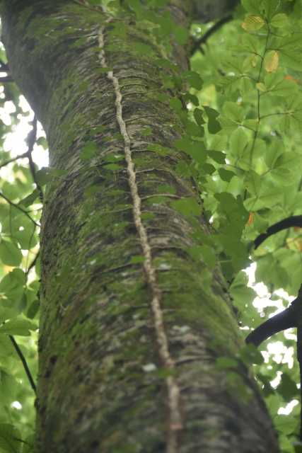 DSC_9489.JPG