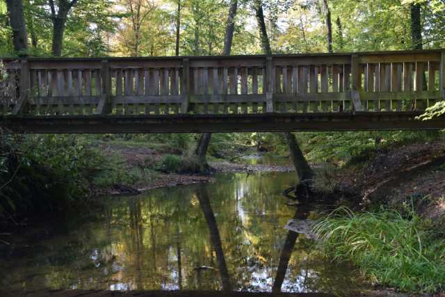 DSC_9505.JPG
