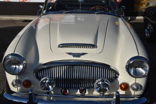 DSC_9516.JPG