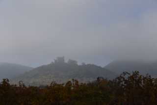 DSC_9576.JPG