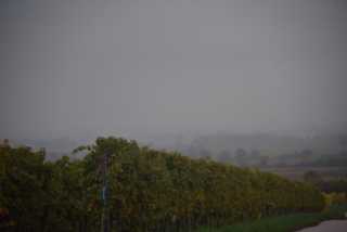 DSC_9579.JPG
