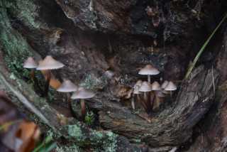 DSC_9598.JPG