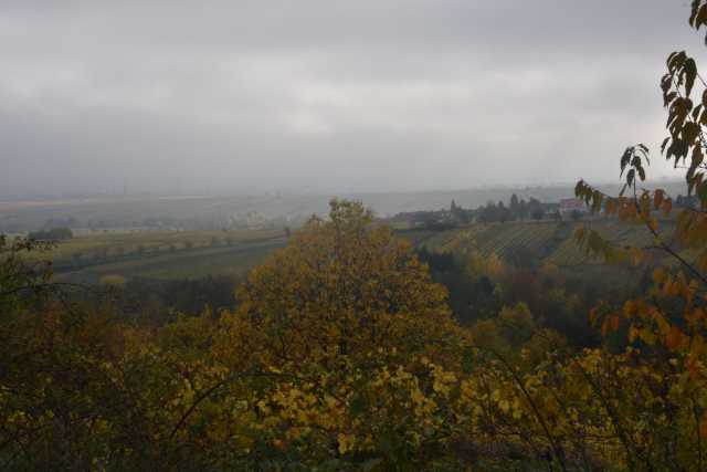 DSC_9588.JPG