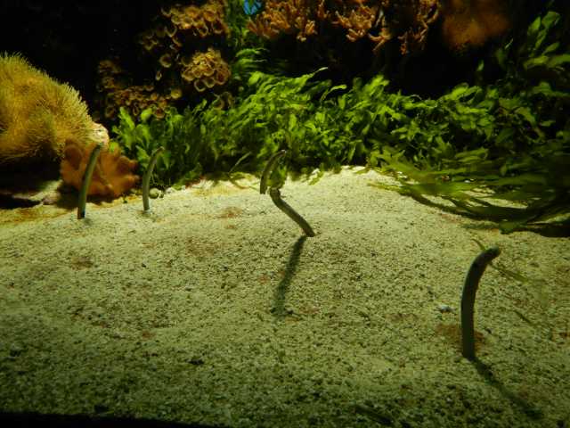 DSCN3219.JPG
