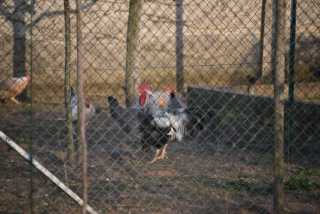 DSC_0104.JPG