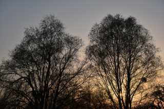 DSC_0113.JPG