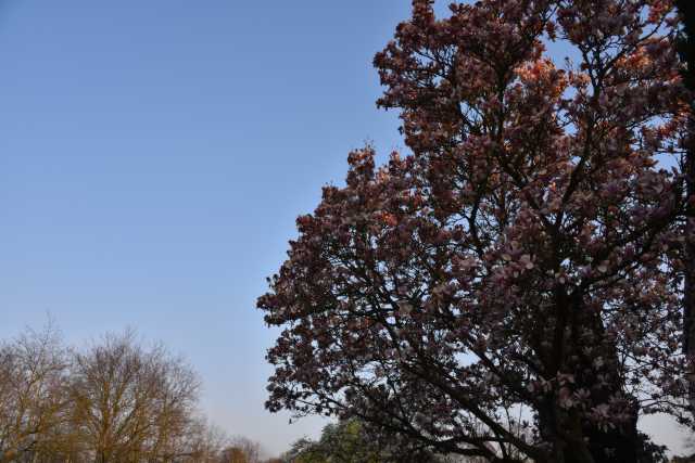 DSC_0105.JPG