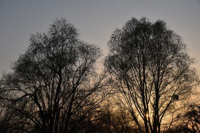 DSC_0113.JPG