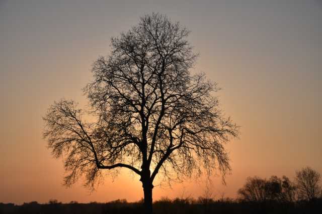 DSC_0119.JPG