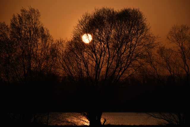DSC_0129.JPG