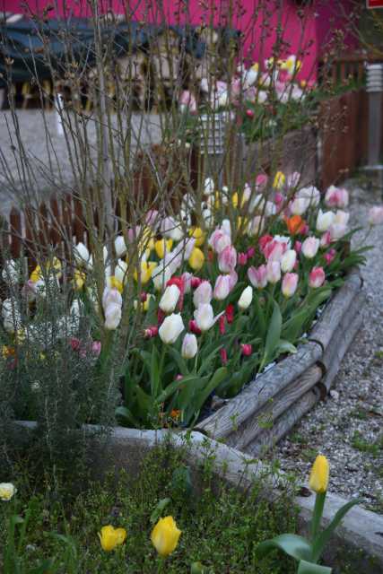 DSC_0133.JPG