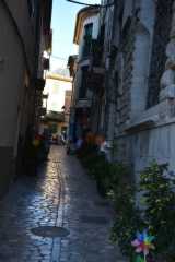 DSC_0009.JPG