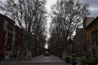 DSC_0079.JPG