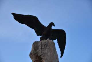 DSC_9753.JPG