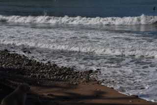 DSC_9990.JPG