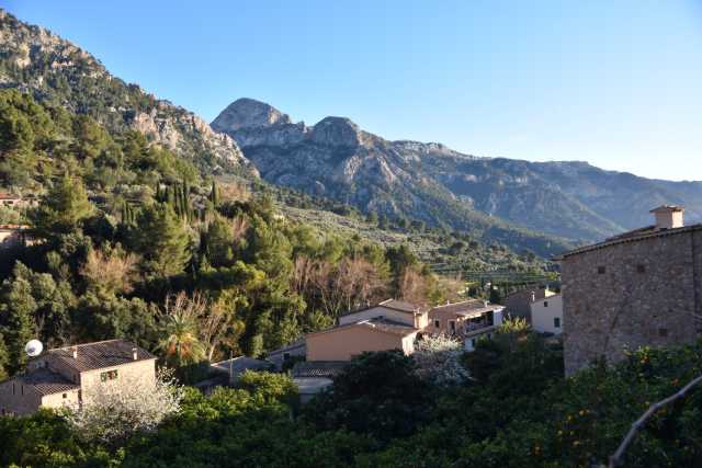 DSC_0016.JPG