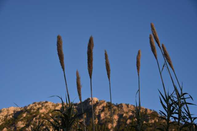 DSC_0038.JPG