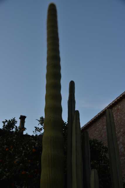 DSC_0046.JPG