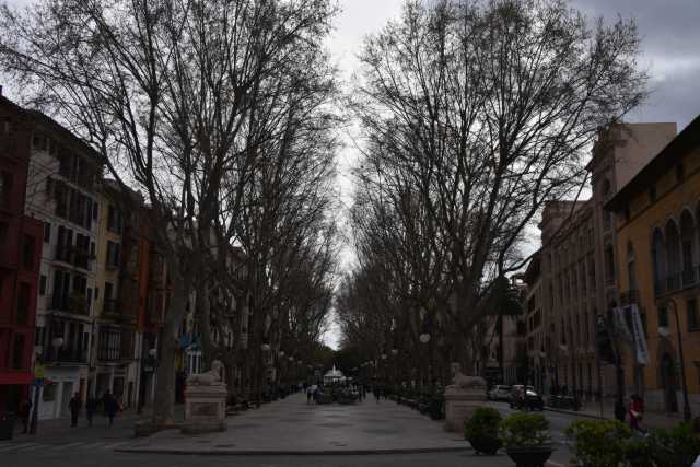 DSC_0079.JPG