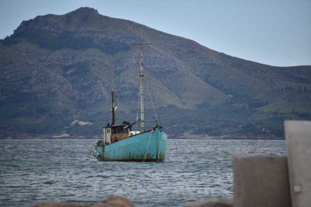 DSC_9767.JPG