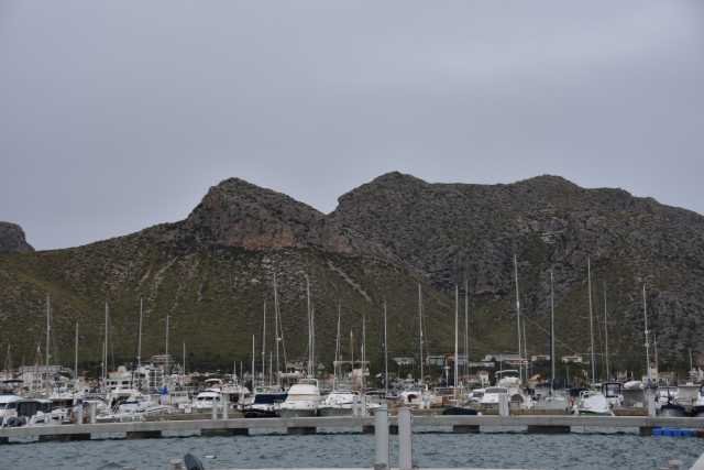 DSC_9771.JPG