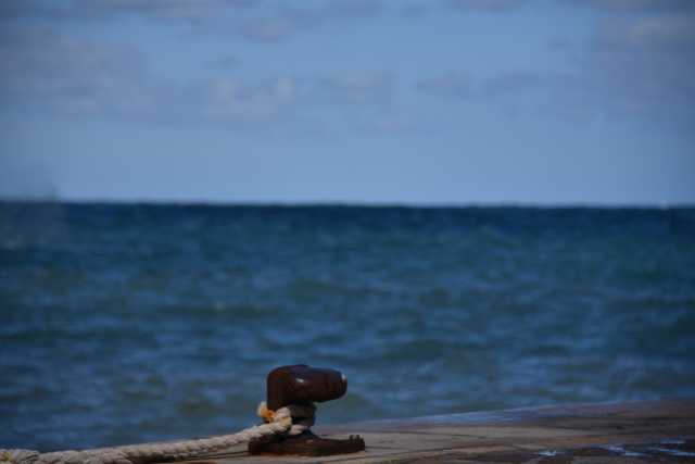 DSC_9853.JPG