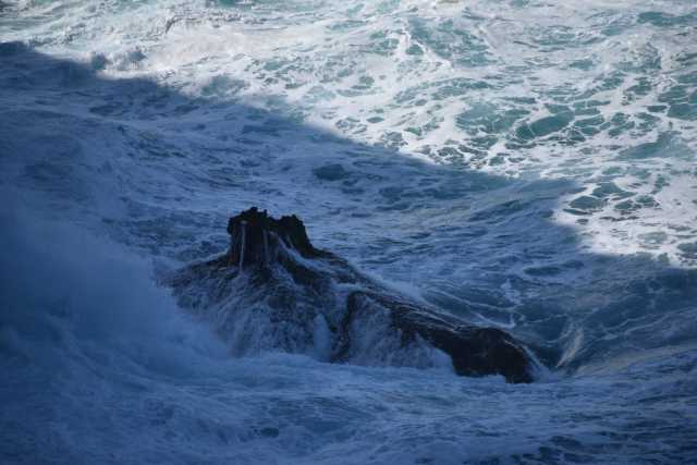 DSC_9959.JPG