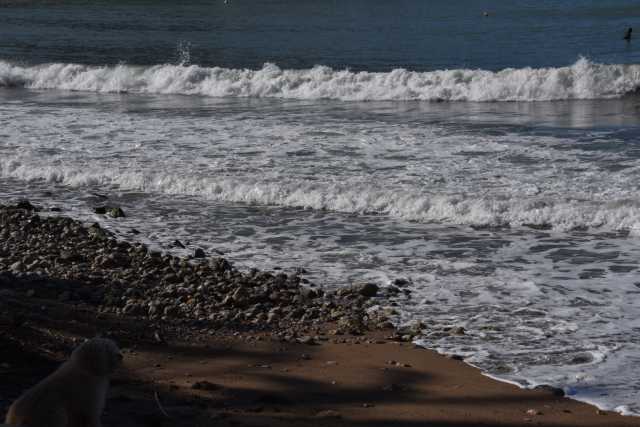 DSC_9990.JPG