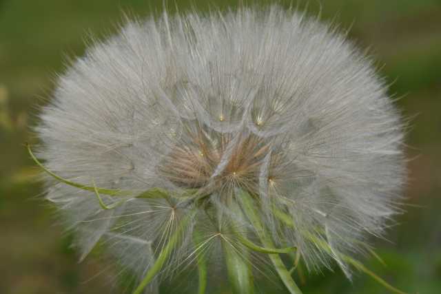 DSC_0352.JPG