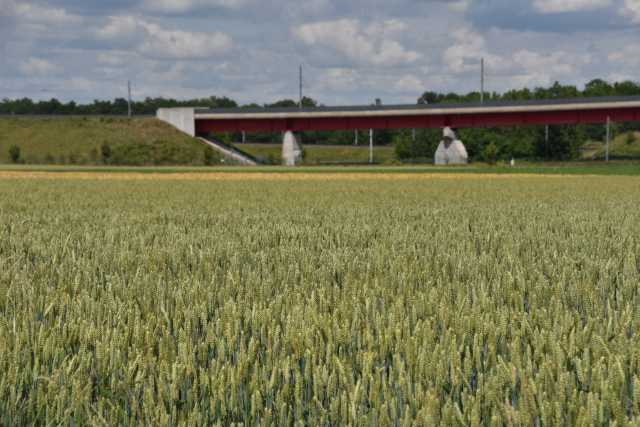 DSC_0359.JPG
