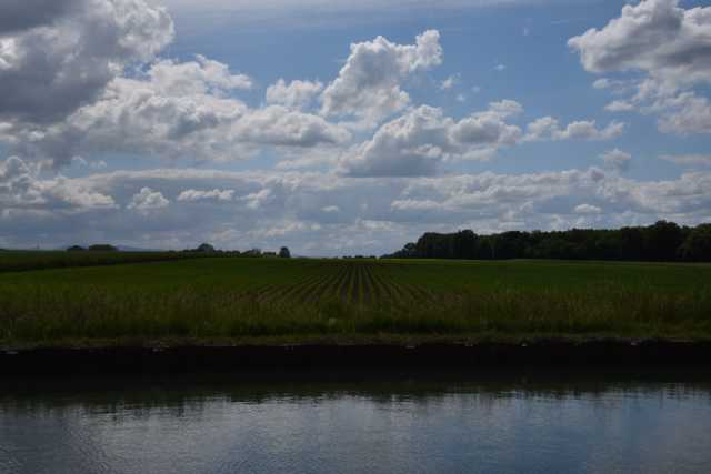 DSC_0391.JPG