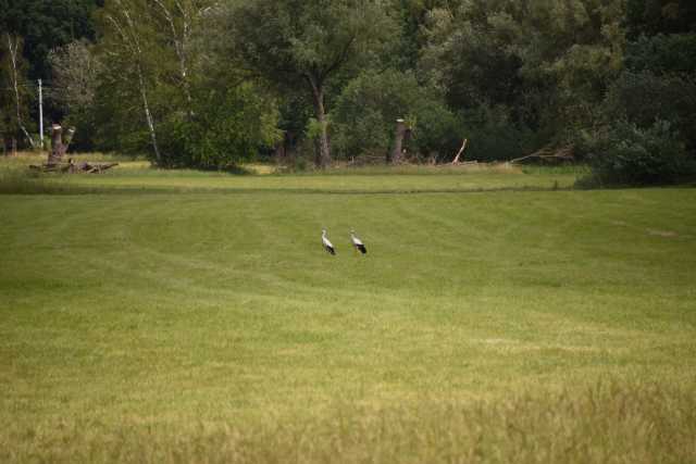 DSC_0395.JPG