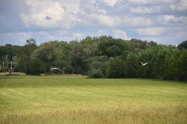 DSC_0396.JPG