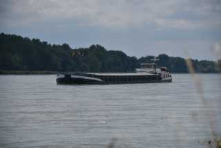 DSC_0424.JPG