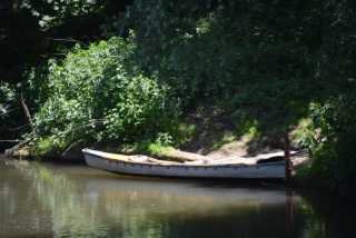 DSC_0498.JPG