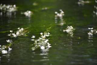 DSC_0523.JPG